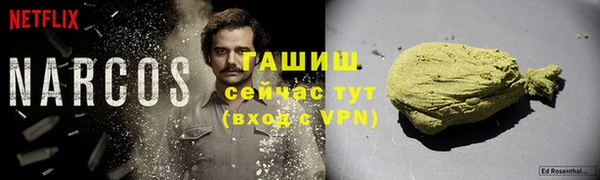 индика Аркадак