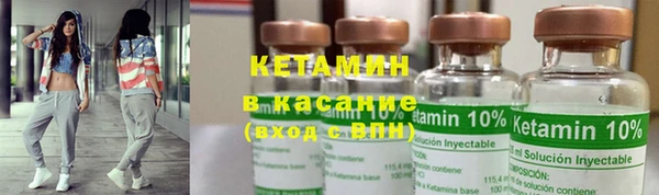 индика Аркадак