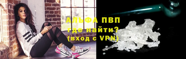 индика Михайловск
