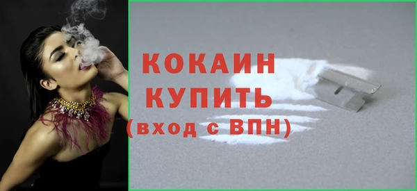 индика Михайловск
