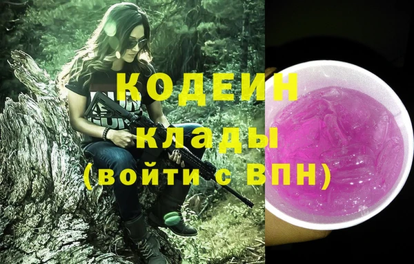 соль ск Арсеньев